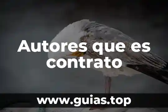 Que es estrategia concepto segun autores 6 Autores que es contrato