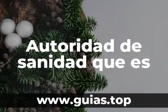 Que es el principio de autoridad en un texto argumentativo 3 Autoridad de sanidad que es