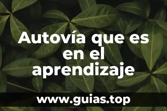 Que es el andamiaje en el aprendizaje 8 Autovía que es en el aprendizaje