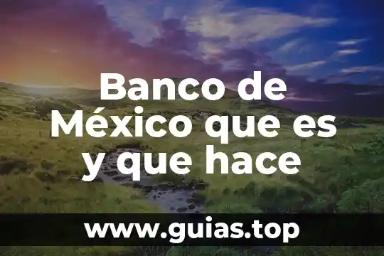 Que es la plaza en una cuenta de banco 7 Banco de México que es y que hace