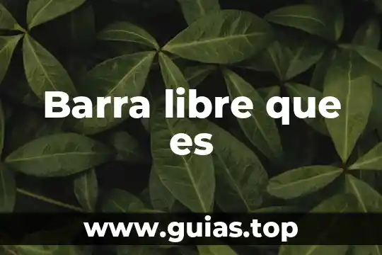Qué es ser persona scielo 5 Barra libre que es