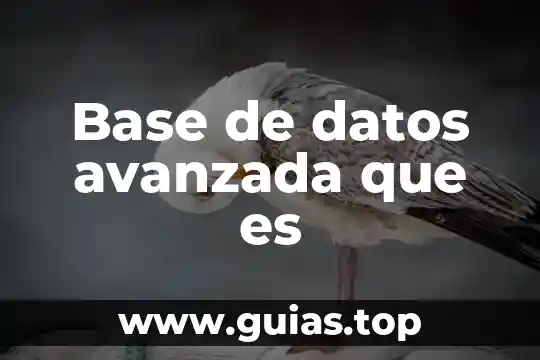 Base de datos avanzada que es