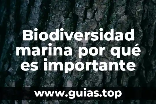 Qué es la biodiversidad concepto general 8 Biodiversidad marina por qué es importante