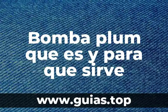 Que es una bomba tipos 6 Bomba plum que es y para que sirve