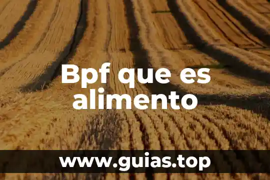 Que es equivalente de alimento 3 Bpf que es alimento