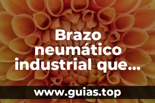 Que es el comite de la cruz roja internacional 8 Brazo neumático industrial que es