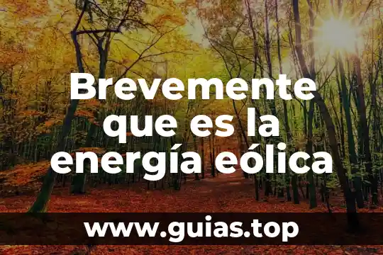 Qué es la energía eólica definición para niños 8 Brevemente que es la energía eólica