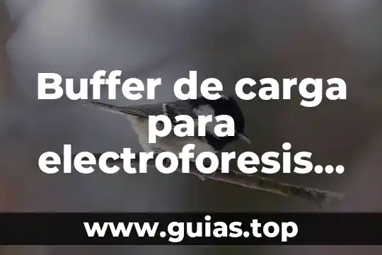 Que es una carga de tesado 4 Buffer de carga para electroforesis que es