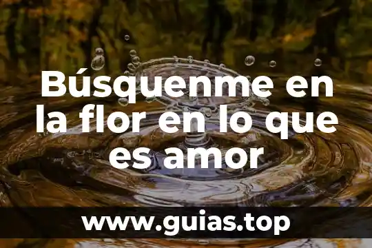 Que es alfa en el amor 4 Búsquenme en la flor en lo que es amor