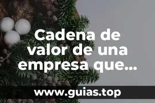 Que es valor absolutyo 3 Cadena de valor de una empresa que es