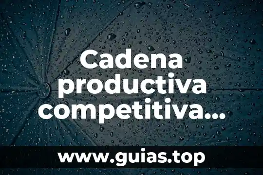 Que es posicion competitiva segun autores 5 Cadena productiva competitiva que es