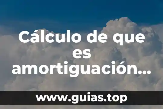 Para que es el examen de bilirrubina directa 4 Cálculo de que es amortiguación y deprecisión materia de costo