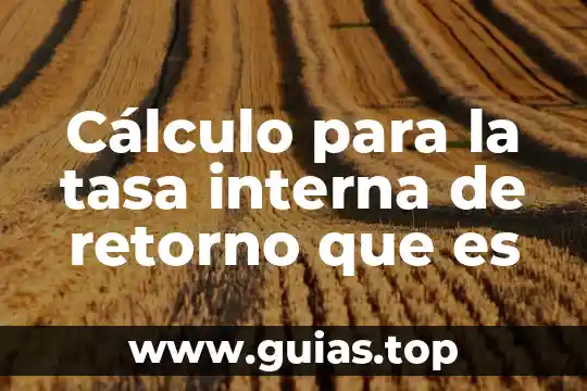 Que es mensaje de retorno en la comunicacion 8 Cálculo para la tasa interna de retorno que es