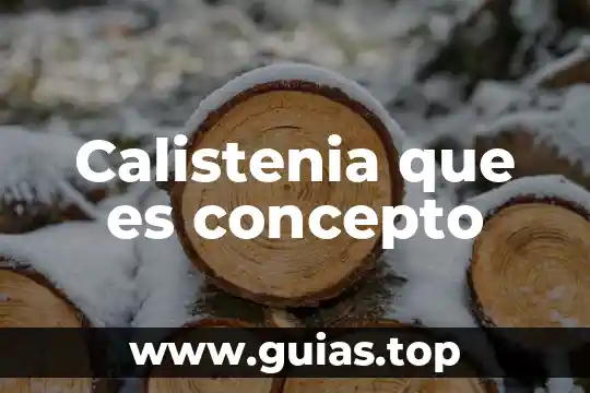 Qué es jidoka concepto 4 Calistenia que es concepto
