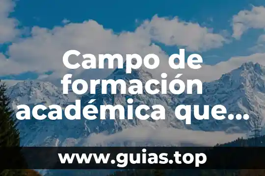 Que es el campo del estudio de la mercadotecnia 5 Campo de formación académica que es
