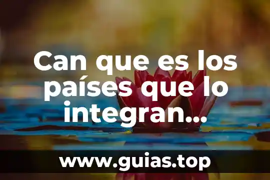 Qué es un paises totalmente desarrollados 3 Can que es los países que lo integran, objetivos