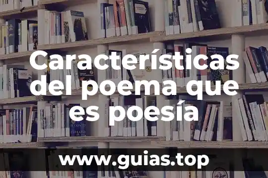 Qué es una alegoría y sus características 7 Características del poema que es poesía