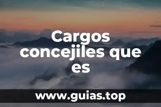 Que es la evaluacion de cargos 3 Cargos concejiles que es