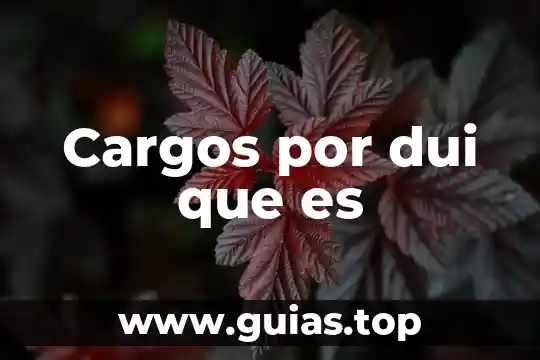 Cargos concejiles que es 6 Cargos por dui que es