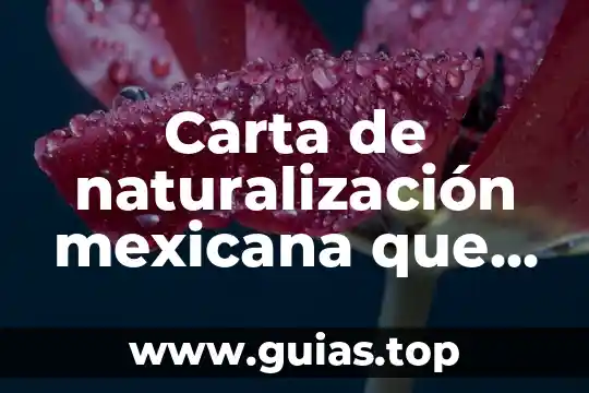 Qué es ing en producción animal 3 Carta de naturalización mexicana que es