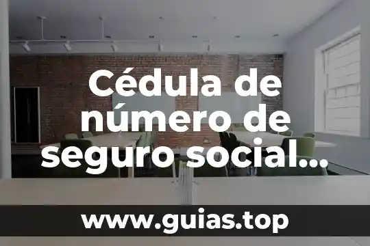 Qué es el número de onu 3 Cédula de número de seguro social que es