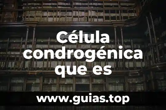 Qué es el concepto de célula eucariota 7 Célula condrogénica que es