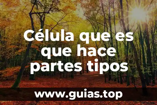 Que es una fachada y sus tipos 3 Célula que es que hace partes tipos