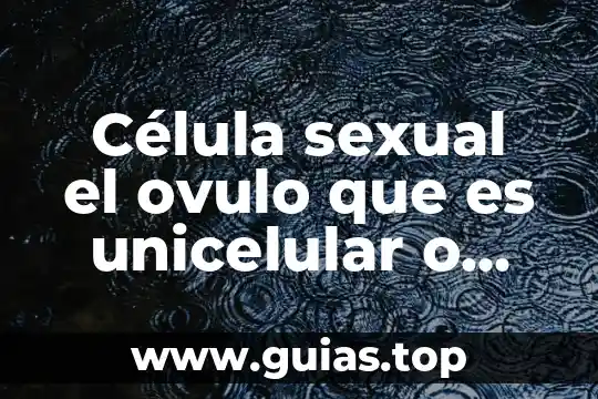 Qué es el concepto de célula eucariota 5 Célula sexual el ovulo que es unicelular o pluricelular