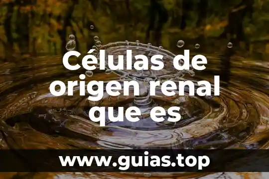 Qué es un cólico renal síntomas causas 4 Células de origen renal que es