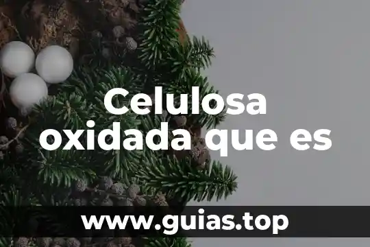 Que es celulosa batida en agua 3 Celulosa oxidada que es