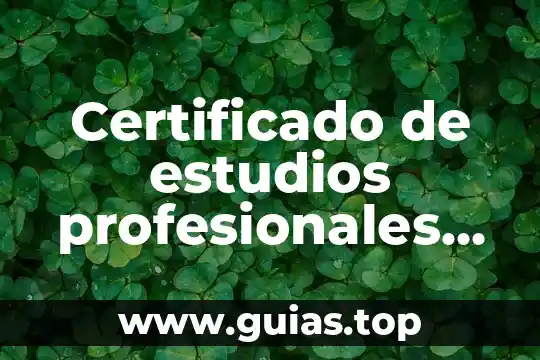 Que es inteligencia de mercados powerpoint 7 Certificado de estudios profesionales que es