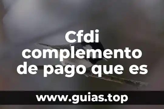 Que es un pago tdc 6 Cfdi complemento de pago que es
