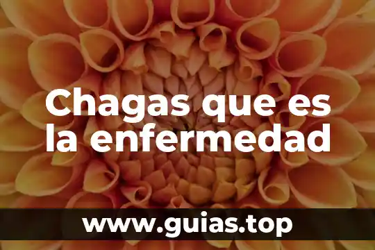 Que es un animal esquino 7 Chagas que es la enfermedad