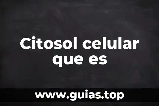 Que es bot en el celular 3 Citosol celular que es
