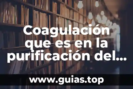 Agua pyrmont que es 3 Coagulación que es en la purificación del agua