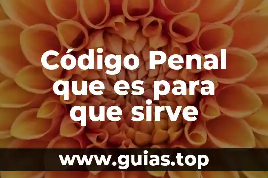 Que es el garantismo en derecho penal 4 Código Penal que es para que sirve