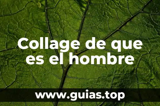 Que es el sexo oral entre mujer y hombre 4 Collage de que es el hombre