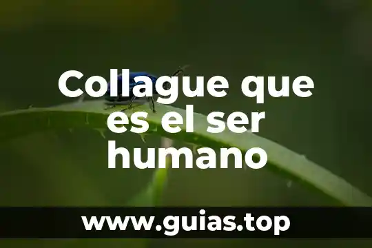 Que es un buen ser humano 5 Collague que es el ser humano