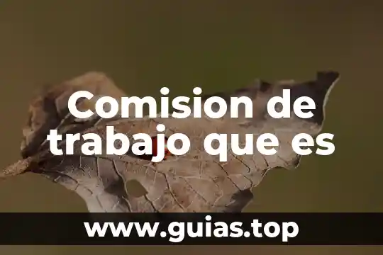 Que es ser un oraculo en las relaciones humanas 5 Comision de trabajo que es