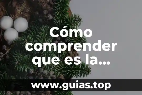 Que es la quimica organica shulpin quinrto sol 8 Cómo comprender que es la química