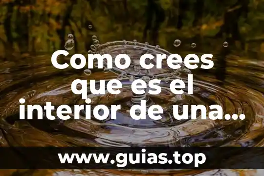 Estas preso de nuevo verdad crees que es un juego 4 Como crees que es el interior de una célula