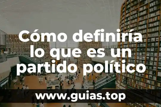 Que es un estado de partido unico 3 Cómo definiría lo que es un partido político