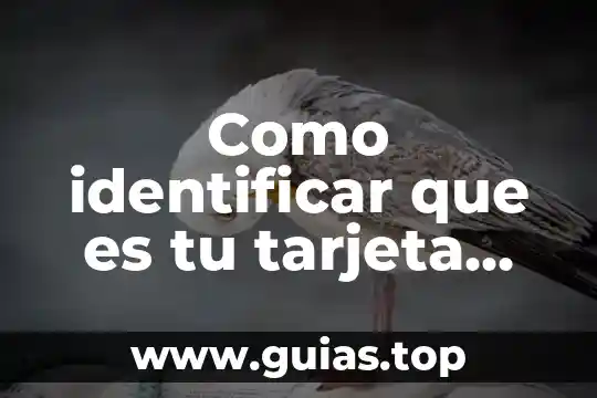 Qué es seguridad láser 7 Como identificar que es tu tarjeta grafica con la computadora