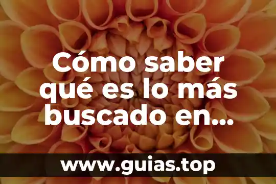 Que es el concepto sotobosque 5 Cómo saber qué es lo más buscado en Fluxy
