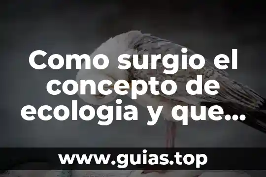 Que es sexapil concepto 7 Como surgio el concepto de ecologia y que es ecured