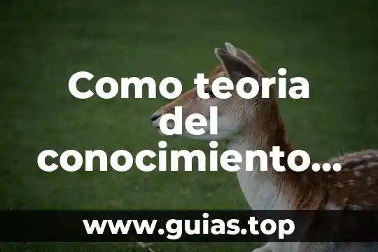Que es teoria de la localizacion 3 Como teoria del conocimiento que es racionalismo