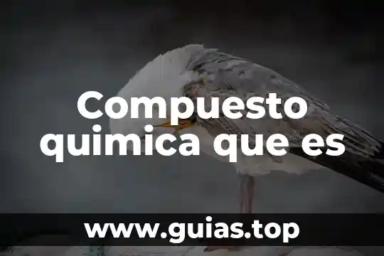 Que es fase e interfase en quimica 6 Compuesto quimica que es