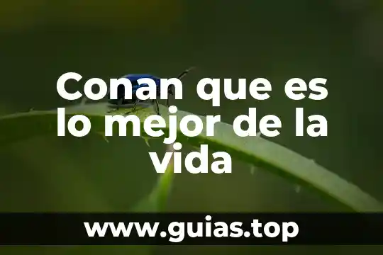 Qué es vida frenética 7 Conan que es lo mejor de la vida