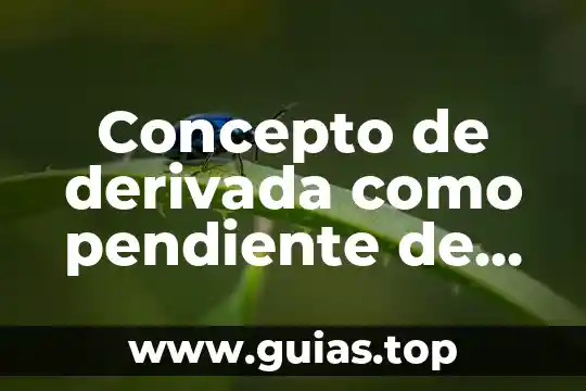 Que es la derivada de nivel superior 6 Concepto de derivada como pendiente de una curva que es