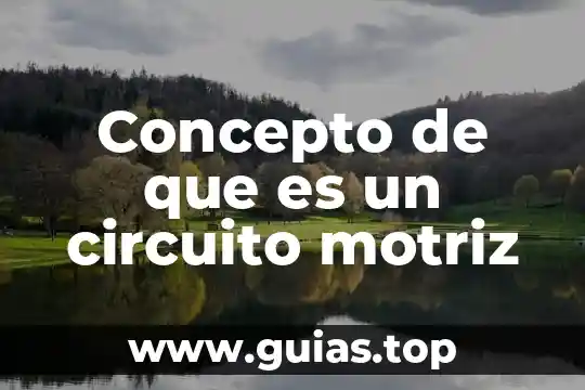 Que es el desarrollo motriz de los niños 5 Concepto de que es un circuito motriz